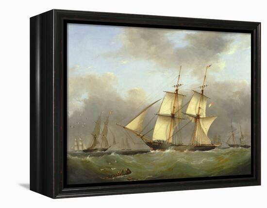 H.M. Brig Daring-Nicholas Condy-Framed Premier Image Canvas