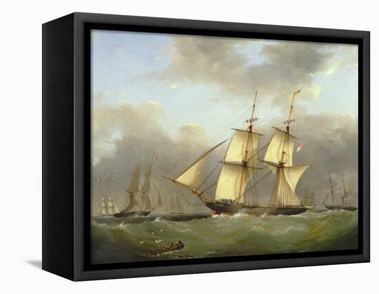 H.M. Brig Daring-Nicholas Condy-Framed Premier Image Canvas