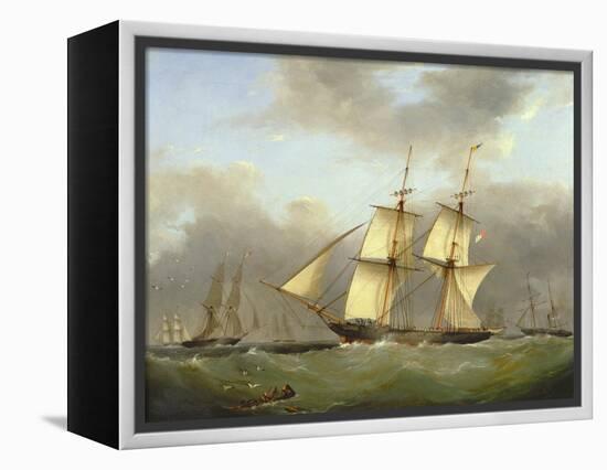 H.M. Brig Daring-Nicholas Condy-Framed Premier Image Canvas