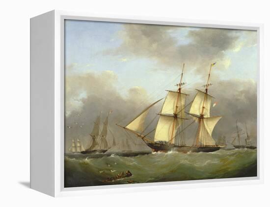 H.M. Brig Daring-Nicholas Condy-Framed Premier Image Canvas