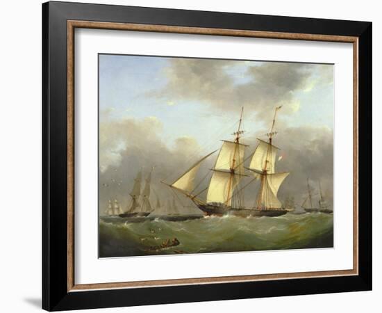 H.M. Brig Daring-Nicholas Condy-Framed Giclee Print