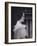 H.R.H.Queen Elizabeth-Cecil Beaton-Framed Giclee Print