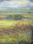 Shimmering Marsh II-H. Thomas-Framed Stretched Canvas