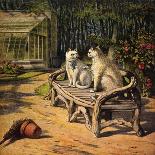 Two Cats on Garden Bench-H.w. Petherick-Art Print