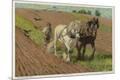 Premium Giclee Print