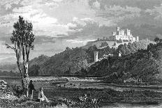 Coltsman's Castle, County Cork, C1800-1850-H Winkles-Giclee Print