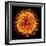 H1N1 Flu Virus Particle, Artwork-PASIEKA-Framed Premium Photographic Print