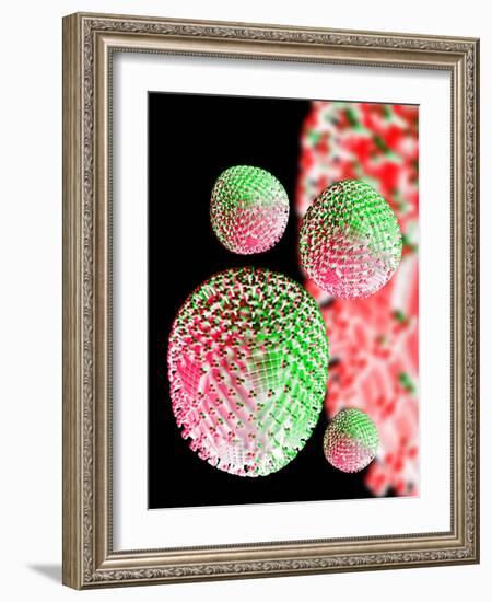 H1N1 Flu Virus Particles, Artwork-Victor Habbick-Framed Photographic Print