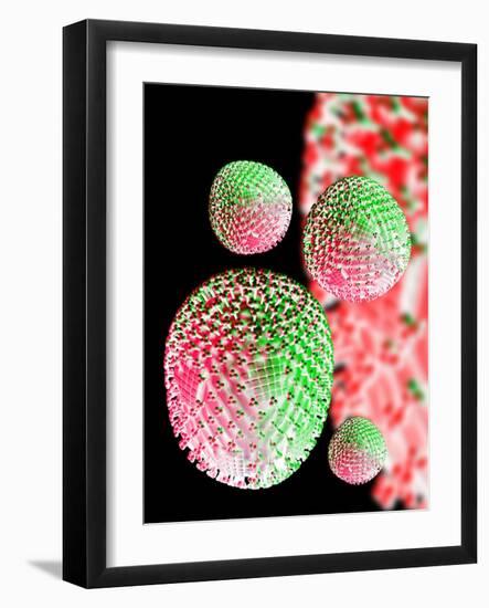 H1N1 Flu Virus Particles, Artwork-Victor Habbick-Framed Photographic Print