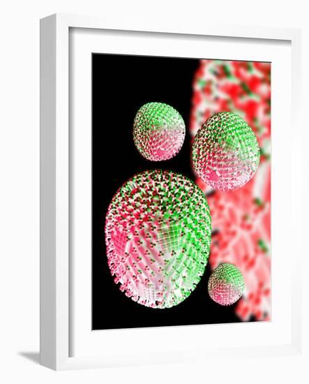 H1N1 Flu Virus Particles, Artwork-Victor Habbick-Framed Photographic Print