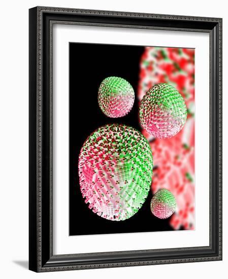 H1N1 Flu Virus Particles, Artwork-Victor Habbick-Framed Photographic Print