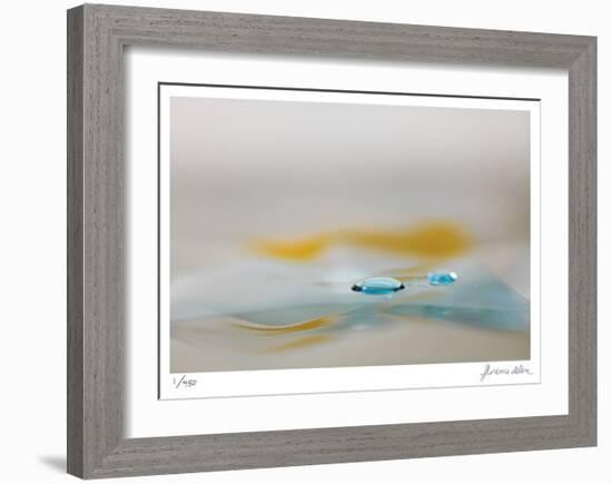 H2O 2237-Florence Delva-Framed Limited Edition