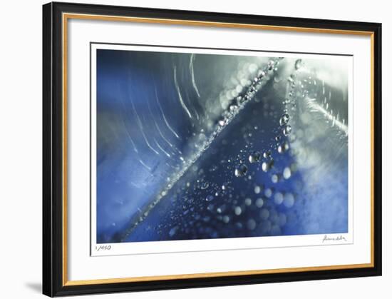 H2O 5-Florence Delva-Framed Giclee Print