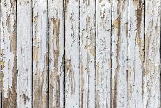 Vintage White Background of Natural Wood Old Wall-H2Oshka-Framed Premier Image Canvas