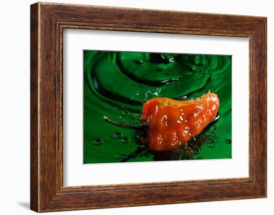 Habanero Pepper FreshSplash 2-Steve Gadomski-Framed Photographic Print