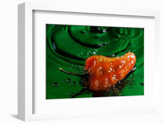 Habanero Pepper FreshSplash 2-Steve Gadomski-Framed Photographic Print