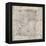 Haci Ahmed's World Map, 1560-Library of Congress-Framed Premier Image Canvas