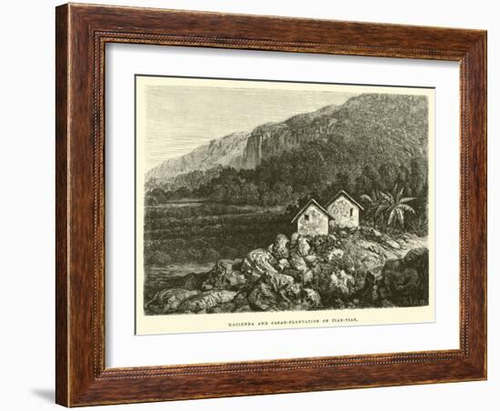 Hacienda and Cacao-Plantation of Tian-Tian-Édouard Riou-Framed Giclee Print