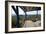 Hacienda El Caney (Plantation), in the Coffee-Growing Region, Near Manizales, Colombia-Natalie Tepper-Framed Photo