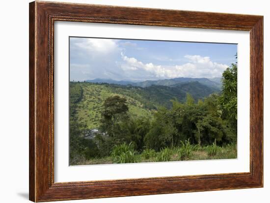 Hacienda El Caney (Plantation), in the Coffee-Growing Region, Near Manizales, Colombia-Natalie Tepper-Framed Photo