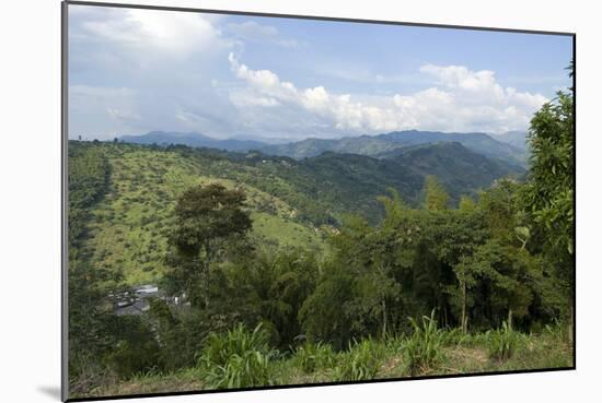 Hacienda El Caney (Plantation), in the Coffee-Growing Region, Near Manizales, Colombia-Natalie Tepper-Mounted Photo
