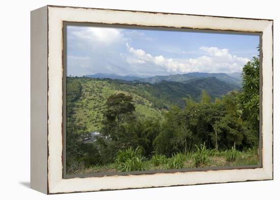 Hacienda El Caney (Plantation), in the Coffee-Growing Region, Near Manizales, Colombia-Natalie Tepper-Framed Stretched Canvas