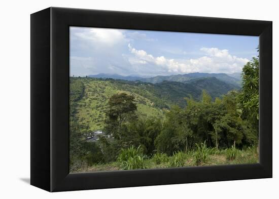 Hacienda El Caney (Plantation), in the Coffee-Growing Region, Near Manizales, Colombia-Natalie Tepper-Framed Stretched Canvas