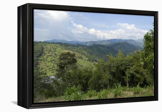 Hacienda El Caney (Plantation), in the Coffee-Growing Region, Near Manizales, Colombia-Natalie Tepper-Framed Stretched Canvas