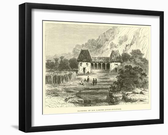 Hacienda of Los Camotes, Sweet-Potatoes-Édouard Riou-Framed Giclee Print