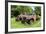 Hacker Valley, West Virginia-Natalie Tepper-Framed Photo