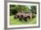 Hacker Valley, West Virginia-Natalie Tepper-Framed Photo