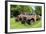 Hacker Valley, West Virginia-Natalie Tepper-Framed Photo