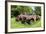 Hacker Valley, West Virginia-Natalie Tepper-Framed Photo