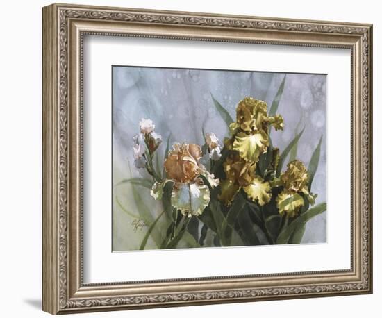 Hadfield Irises I-Clif Hadfield-Framed Art Print