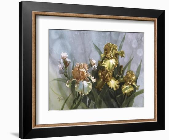 Hadfield Irises I-Clif Hadfield-Framed Art Print