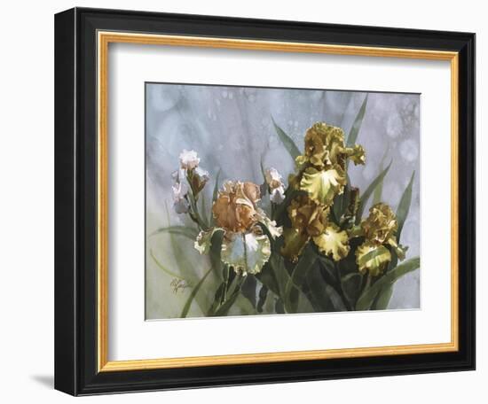 Hadfield Irises I-Clif Hadfield-Framed Art Print