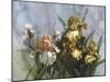 Hadfield Irises I-Clif Hadfield-Mounted Art Print