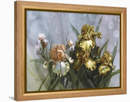 Hadfield Irises I-Clif Hadfield-Framed Stretched Canvas