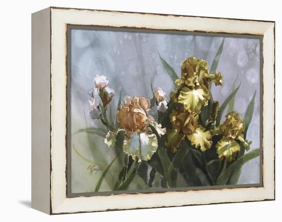 Hadfield Irises I-Clif Hadfield-Framed Stretched Canvas