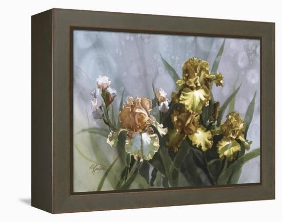 Hadfield Irises I-Clif Hadfield-Framed Stretched Canvas