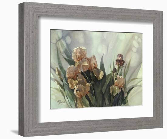 Hadfield Irises II-Clif Hadfield-Framed Art Print