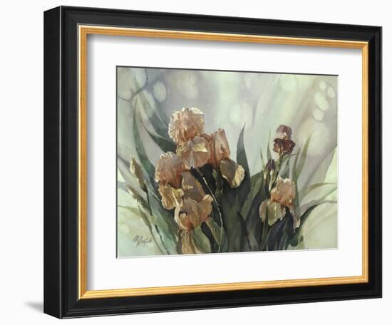 Hadfield Irises II-Clif Hadfield-Framed Art Print