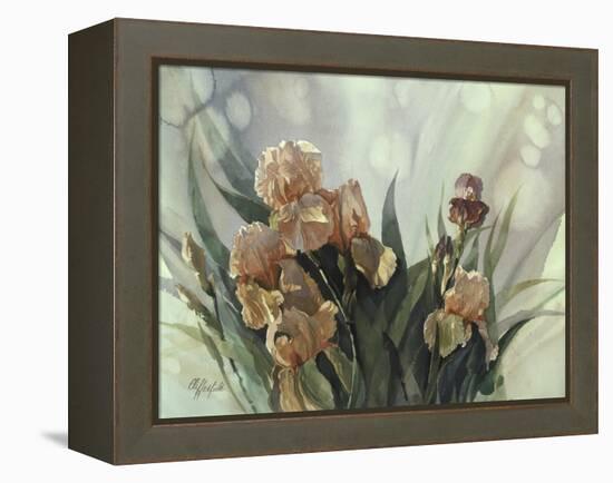 Hadfield Irises II-Clif Hadfield-Framed Stretched Canvas