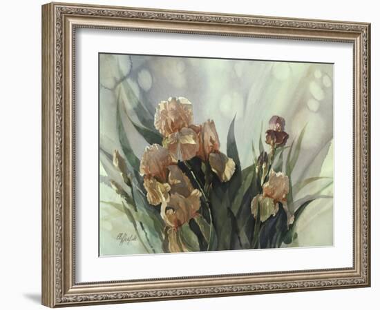 Hadfield Irises II-Clif Hadfield-Framed Art Print