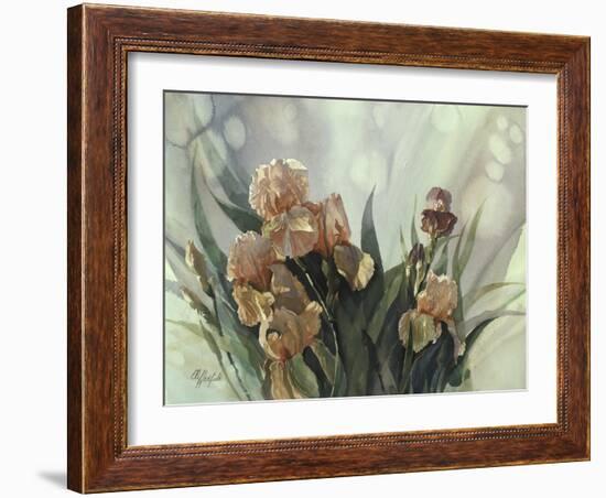 Hadfield Irises II-Clif Hadfield-Framed Art Print