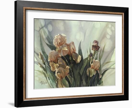 Hadfield Irises II-Clif Hadfield-Framed Art Print