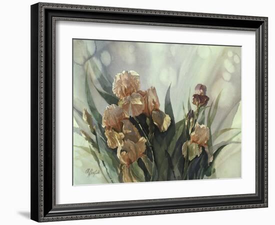 Hadfield Irises II-Clif Hadfield-Framed Art Print