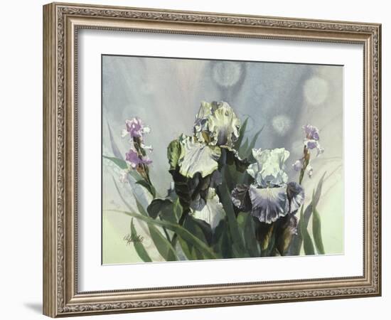 Hadfield Irises III-Clif Hadfield-Framed Art Print