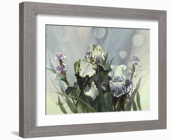 Hadfield Irises III-Clif Hadfield-Framed Art Print