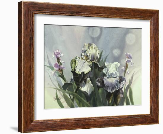 Hadfield Irises III-Clif Hadfield-Framed Art Print